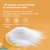 Pumpkin Pet Brush, Self Cleaning Slicker Brush