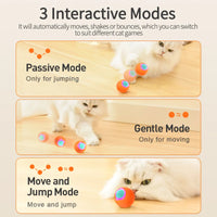 Smart Pet Toys